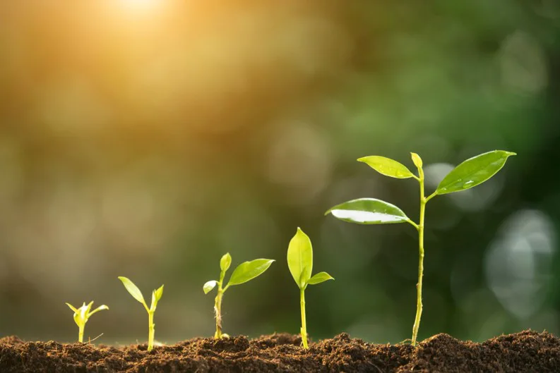 Soluciones químicas de calidad para proteger, nutrir y potenciar el rendimiento agrícola.