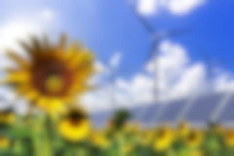 Sonnenblumen, Solarfelder und Windkraftanlagen Sonnenblumen, Solarfelder und Windkraftanlagen