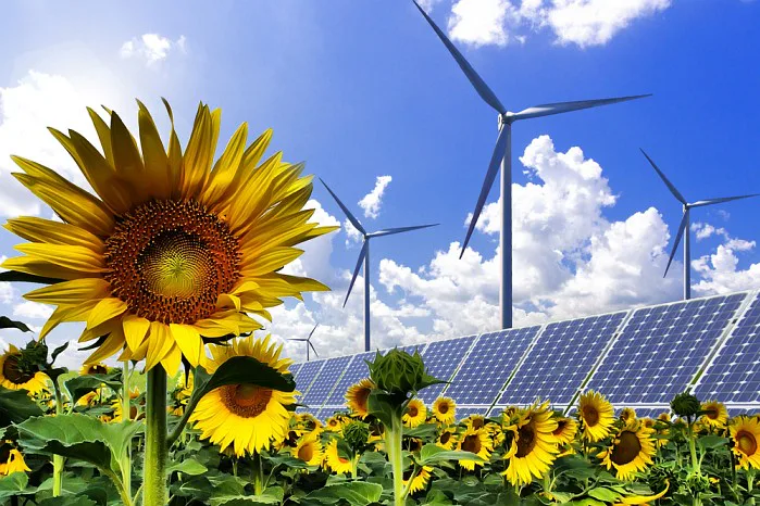 Sonnenblumen, Solarfelder und Windkraftanlagen Sun flowers