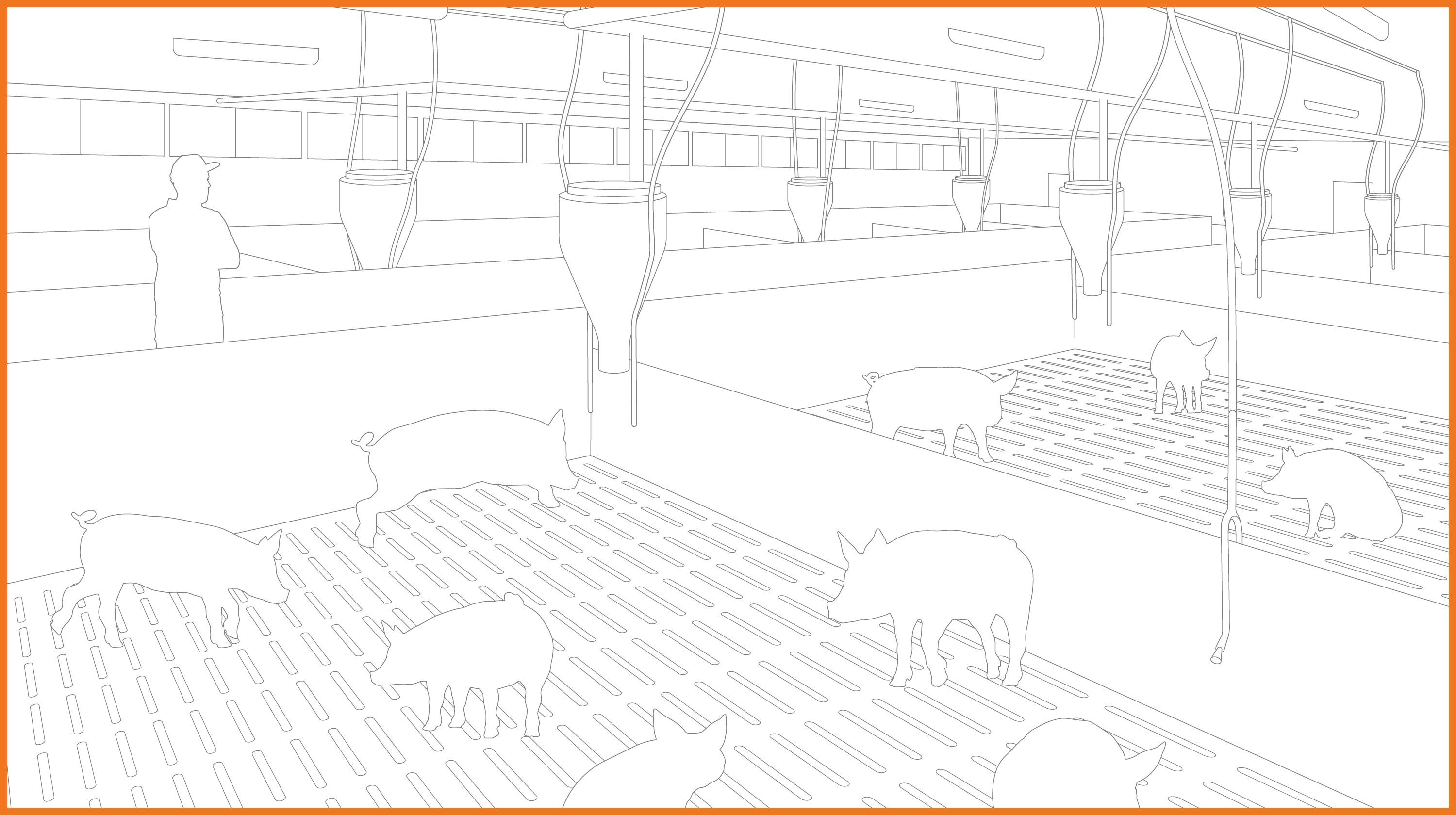 Illustration pig sty inside with orange border Illustration pig sty inside with orange border