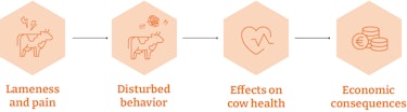 hoof health english hoof health english