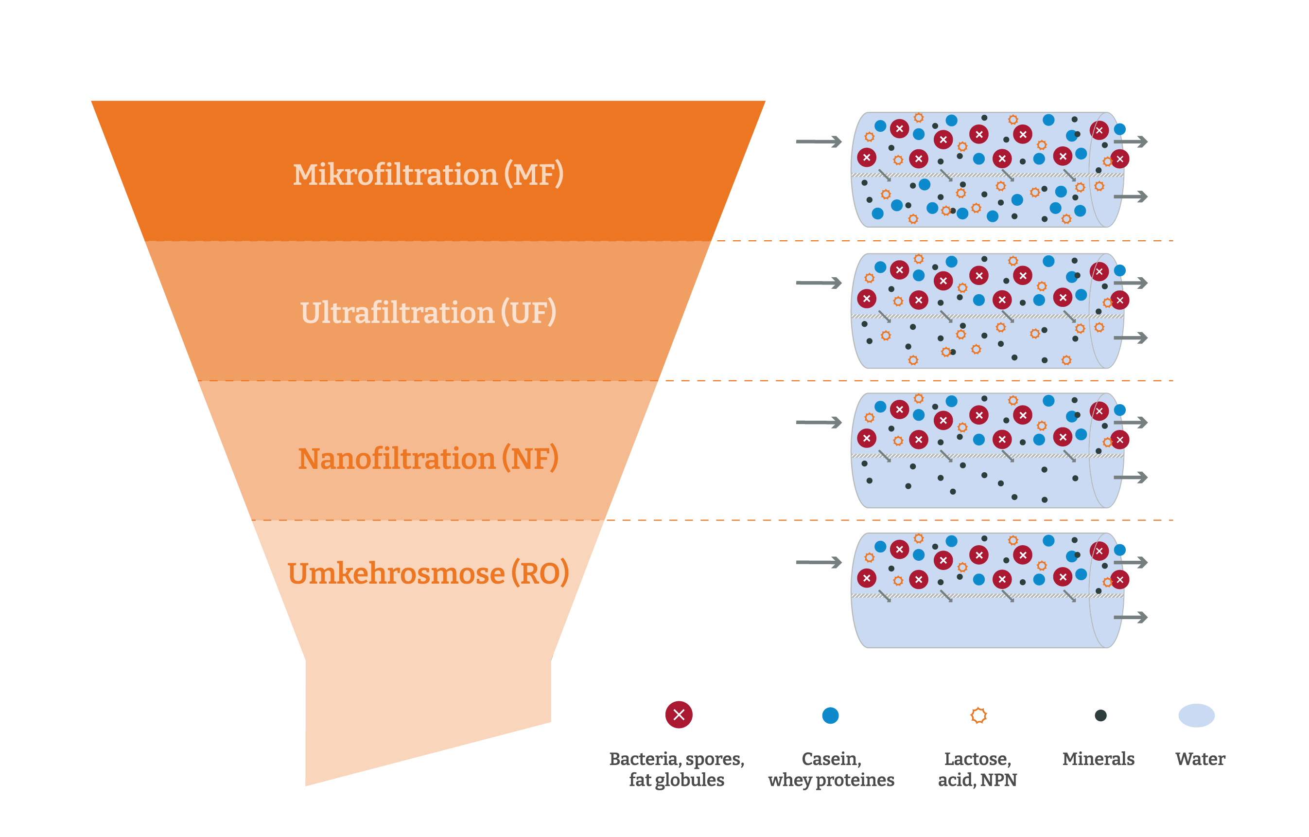 Infografik zur Membranreinigung