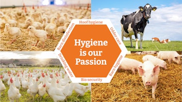 Farming infographic eng hygiene is our passion Farming infographic eng
