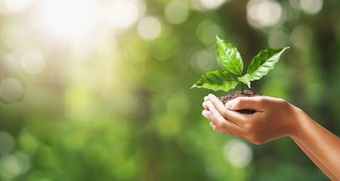 sustainability sustainability