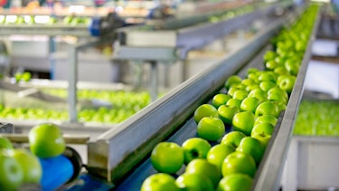 Apples Green apples in an industrial machine.