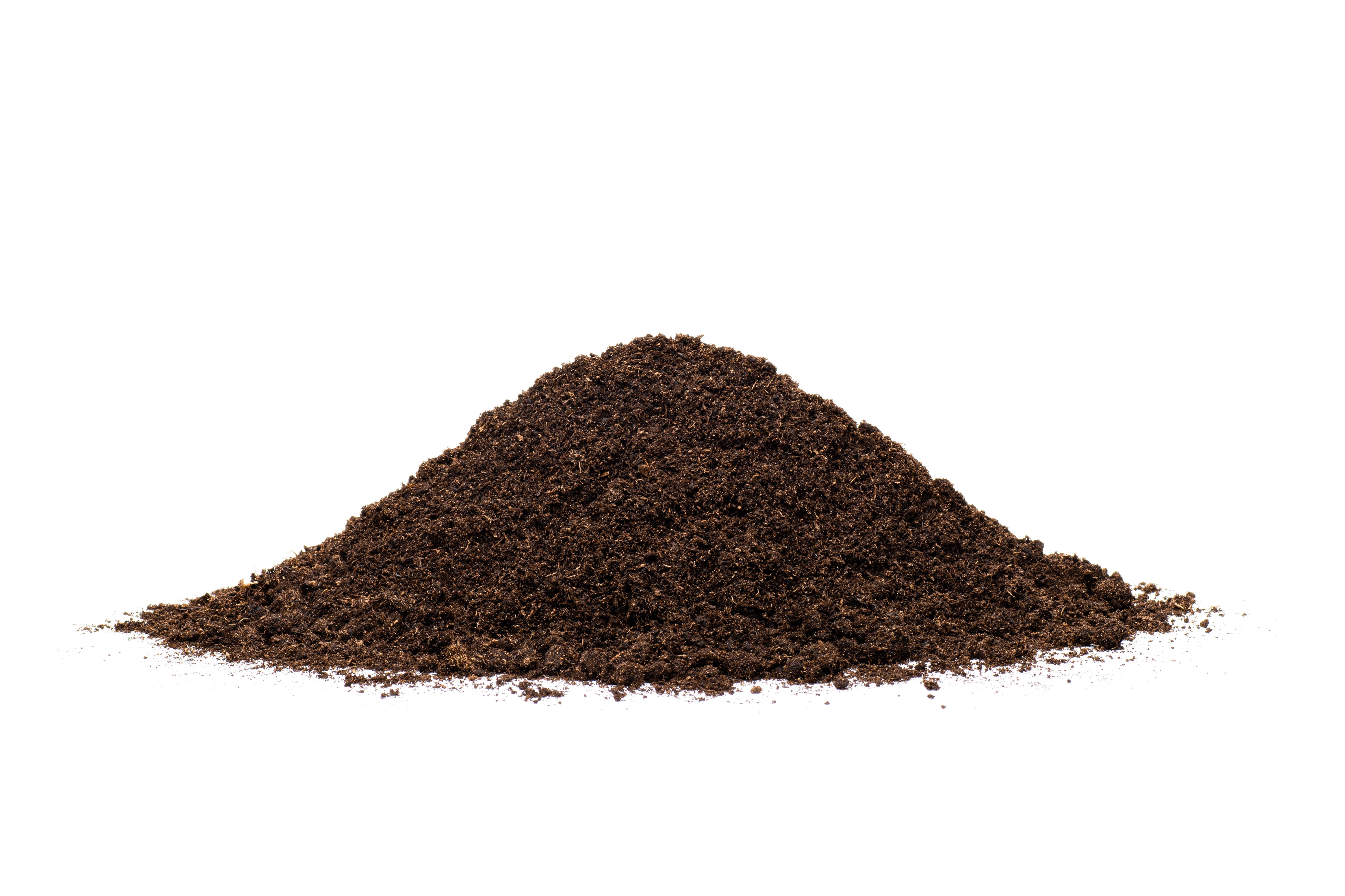 biodegradeability biodegradeability