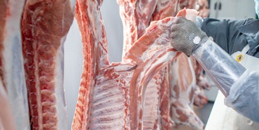 Dissassembly meat butcher Zerlegung Fleisch Metzger