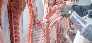 Dissassembly meat butcher Zerlegung Fleisch Metzger