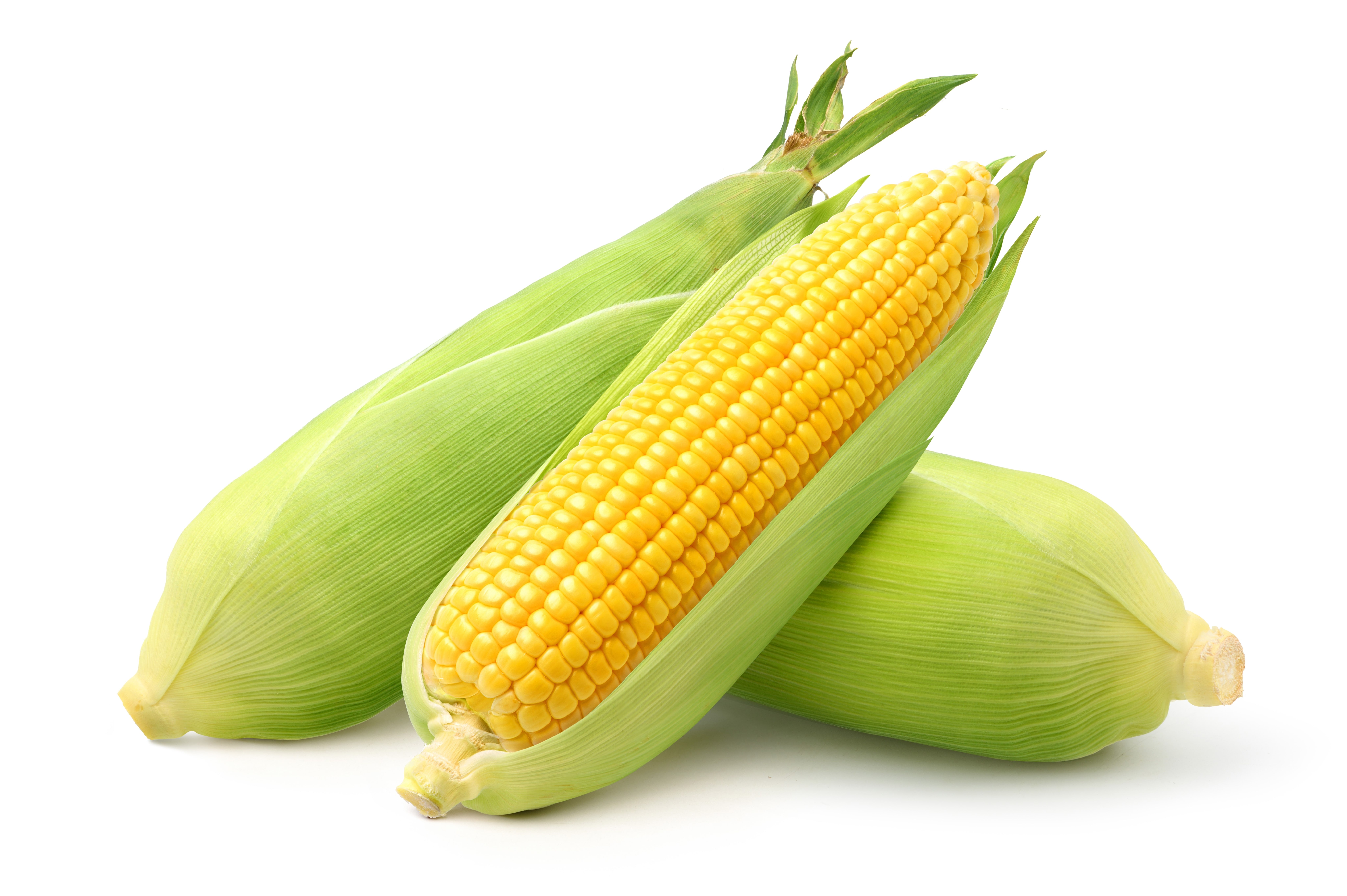 surfactants corn surfactants corn