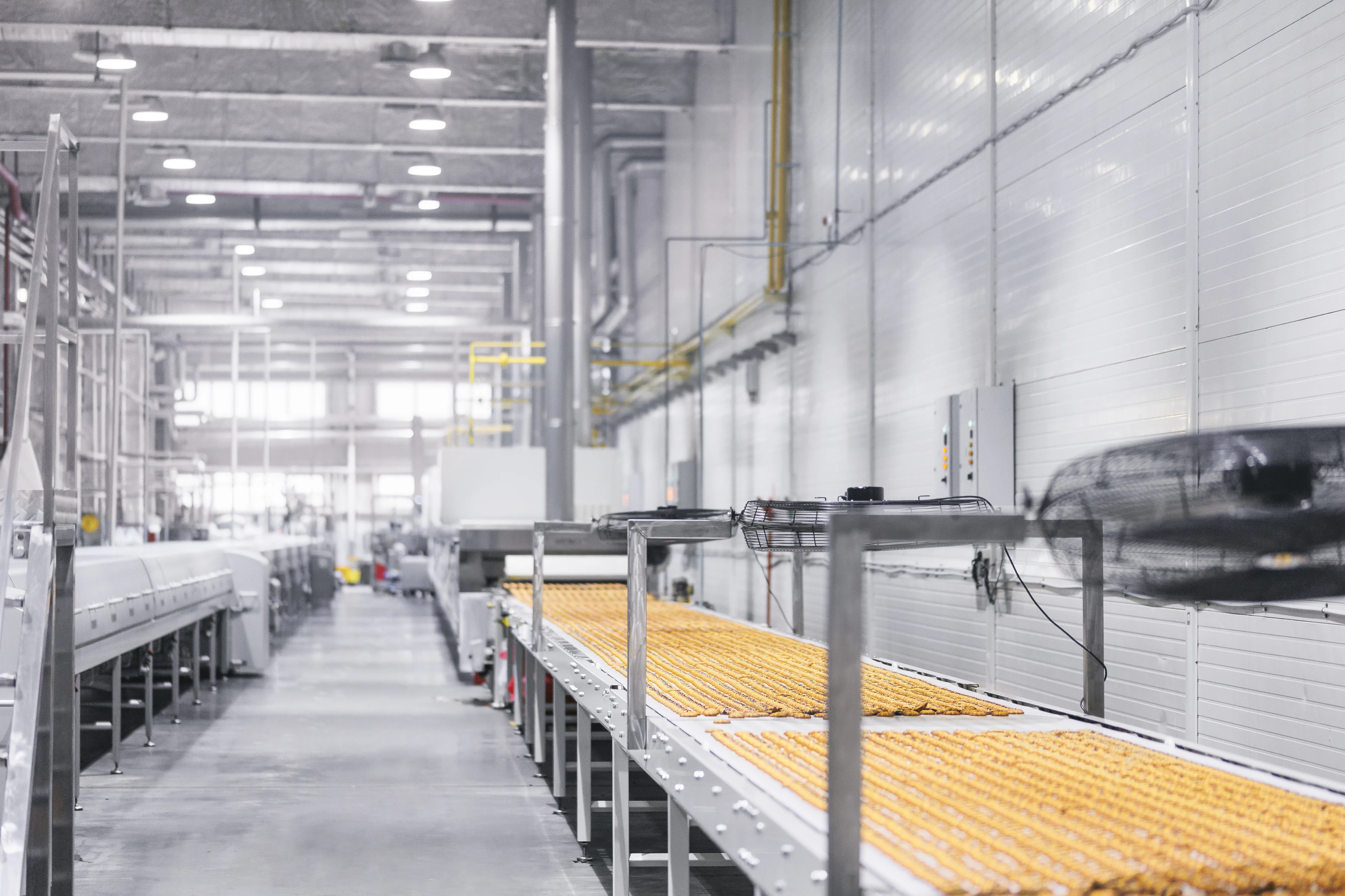 Modern production line for bakery products Modern production line for bakery products