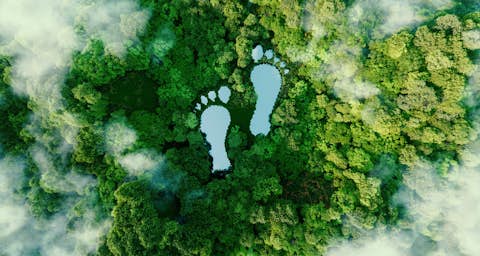 Sekundärrohstoffe Luftaufnahme eines Waldes mit Fußabdrücken