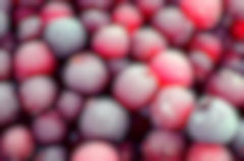 Gefrorene Beeren header Pekasol FG Header Pekasol FG
