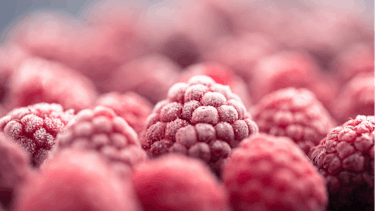 Frozen Raspberries Frozen Raspberries