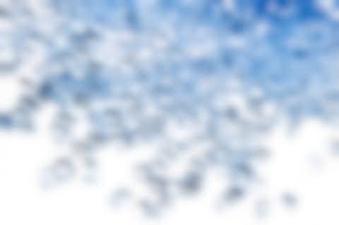 Plastic granules Plastic granules