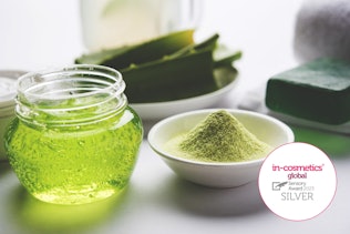 Aloe Vera Powder Aloe Vera Powder
