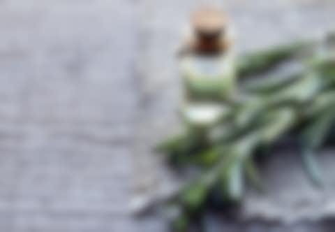Rosemary essential oil in a glass bottle Rosemary essential oil in a glass bottle