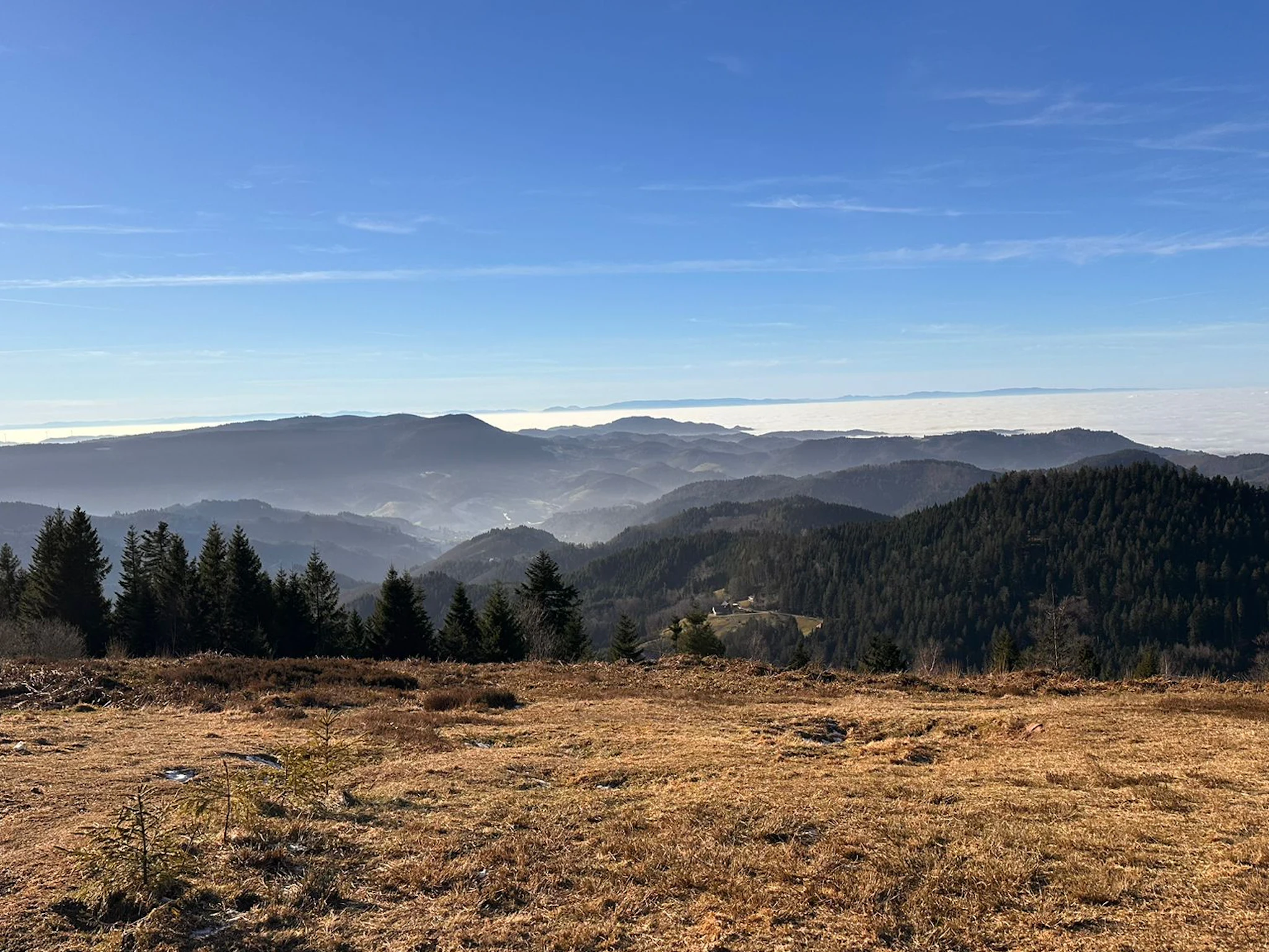 Panoramablick auf den Schwarzwald Panoramablick auf den Schwarzwald mit weiter Aussicht in den blauen Himmel und über die Berge hinweg