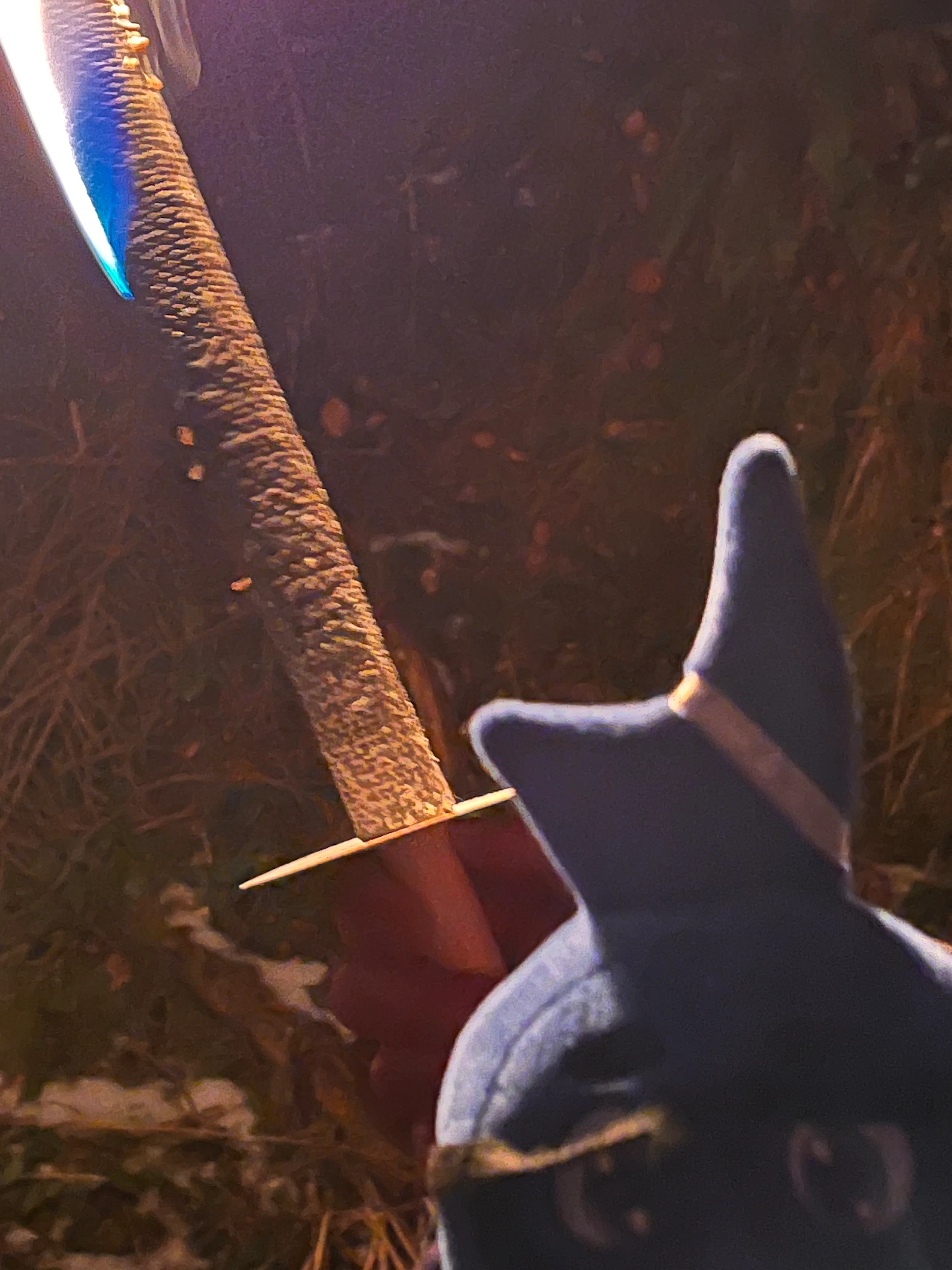 Stobi während der Fakelwanderung Stobi neben einer brennenden Fakel bei Nacht