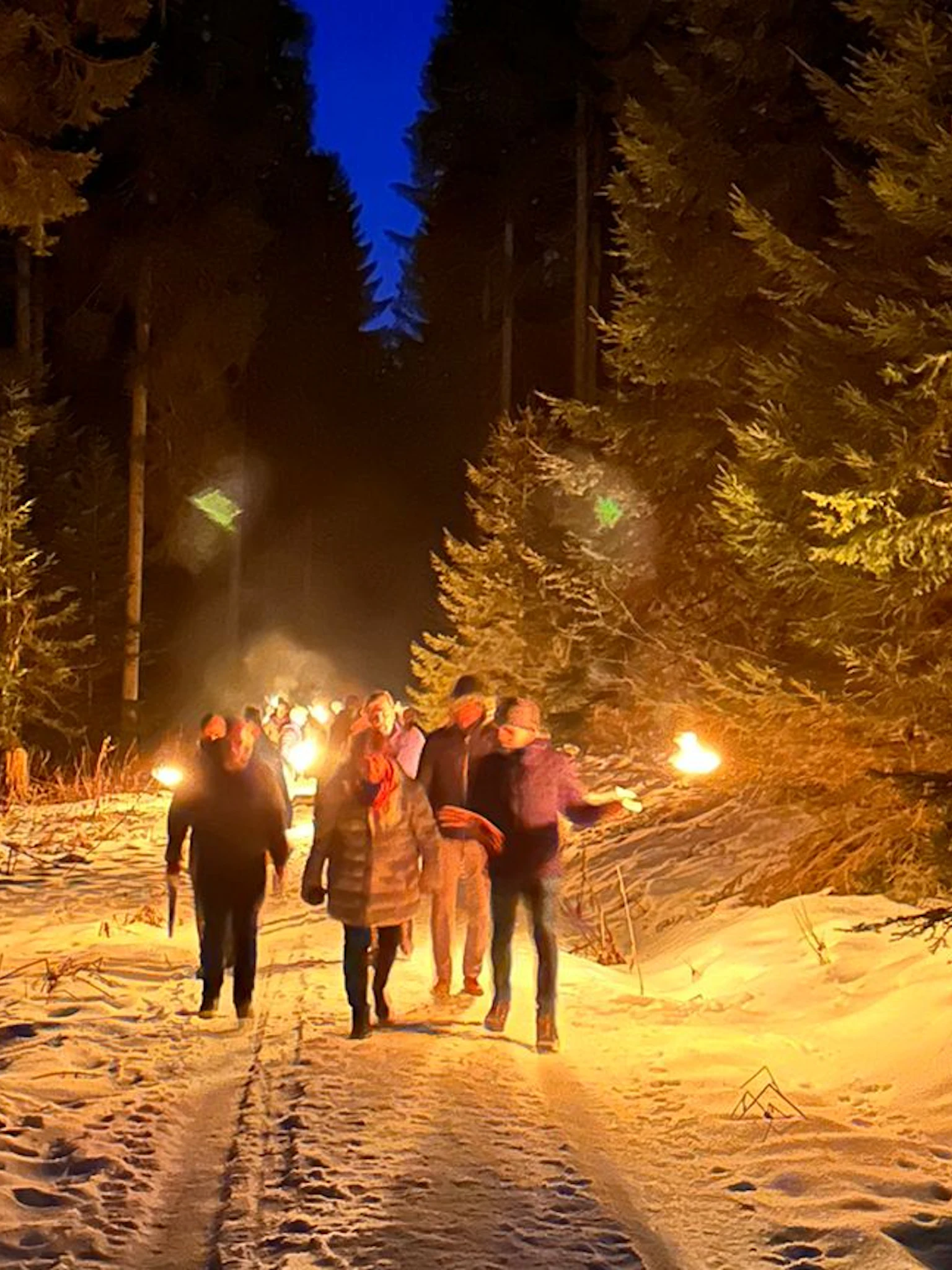 Wanderung durch den Wald Teilnehmer wandern mit Falken durch den verschneiten Schwarzwald