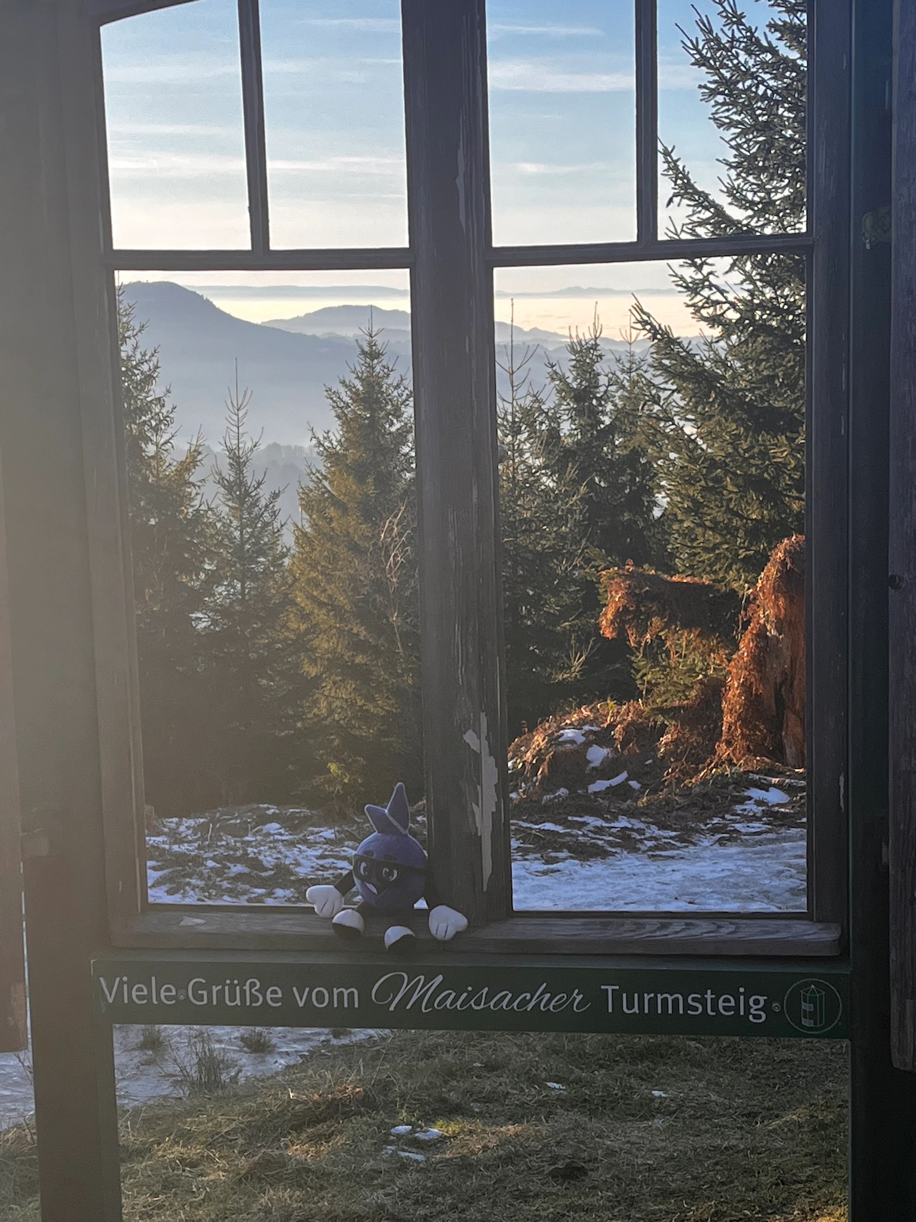 Fenster in den Schwarzwald Fenster mit Blick auf den Schwarzwald bei Sonnenschein