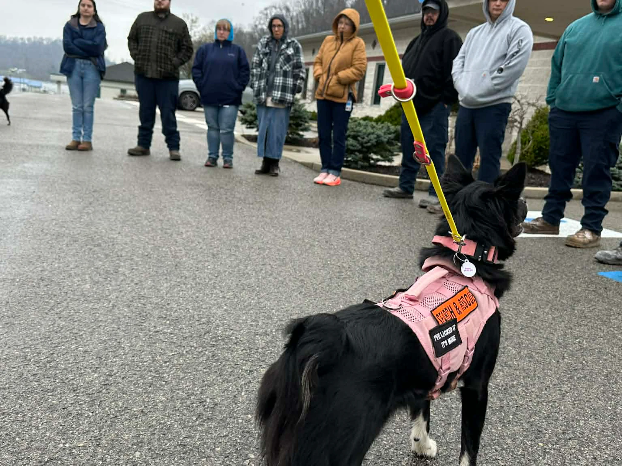 Mitarbeiter von STOCKMEIER Urethanes USA treffen einen K9-Such- und Rettungshund Mitarbeiter von STOCKMEIER Urethanes USA stehen gemeinsam auf einem Parkplatz und begrüßen einen K9-Such- und Rettungshund