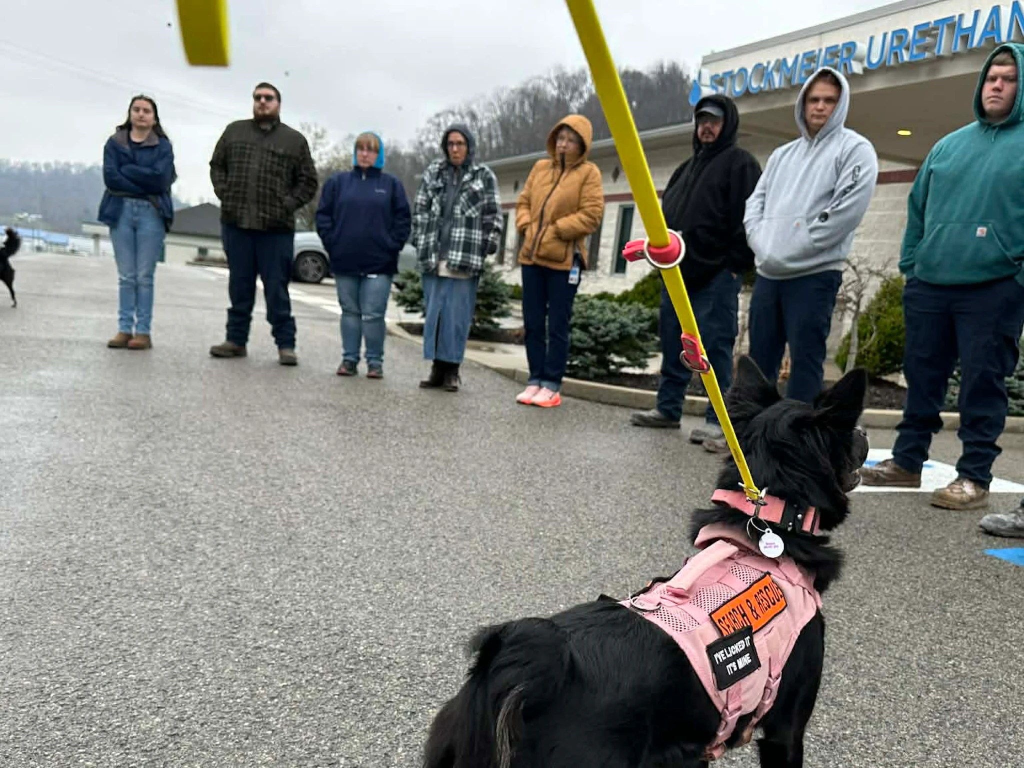 STOCKMEIER Urethanes USA employees meeting K9 search and rescue dogs STOCKMEIER Urethanes USA employees standing together in a parking lot meeting K9 search and rescue dog
