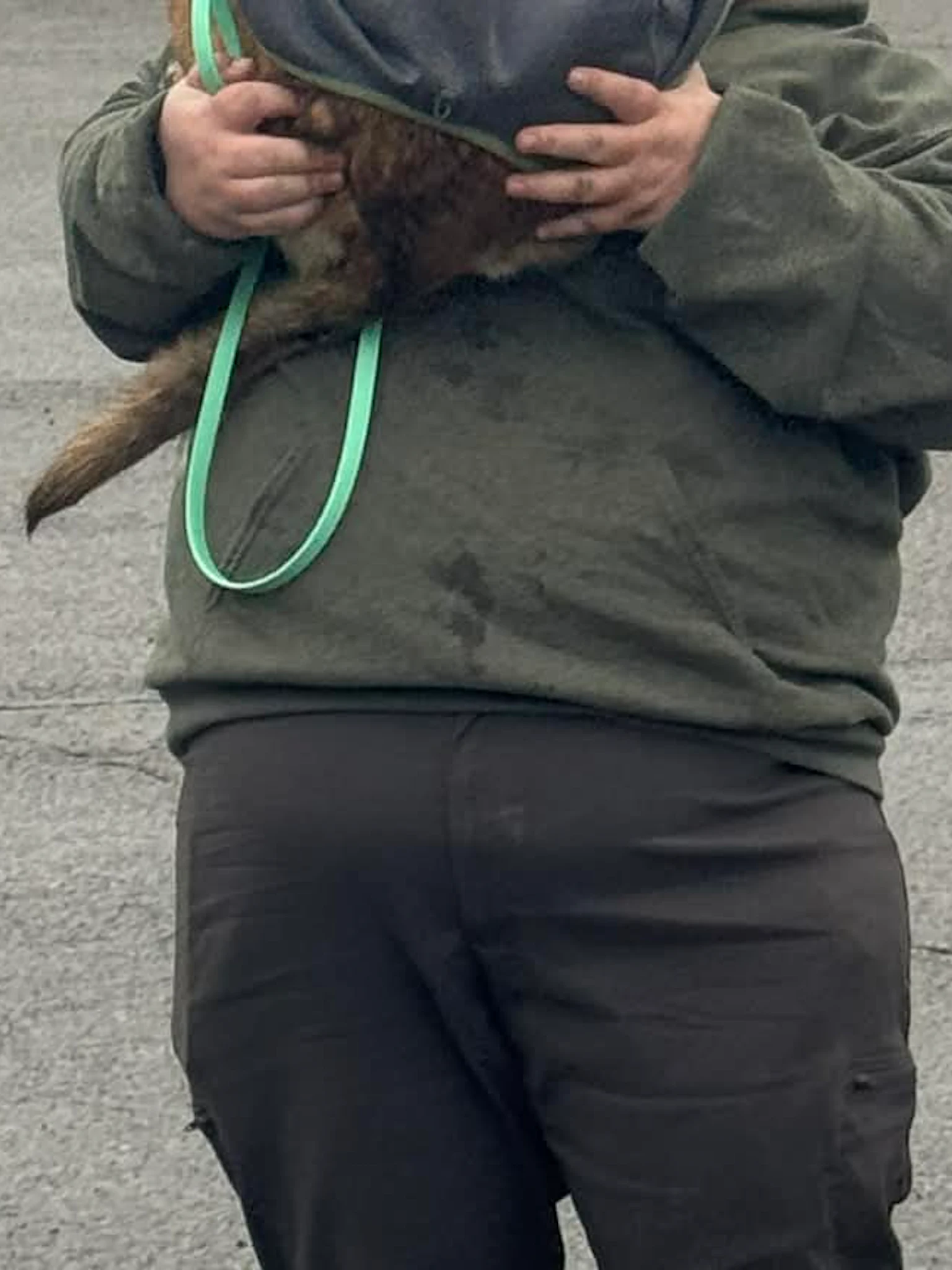 Kayla Tossone mit einem Polizeihund Kayla Tossone steht auf einem Parkplatz und hält einen Hund im Arm