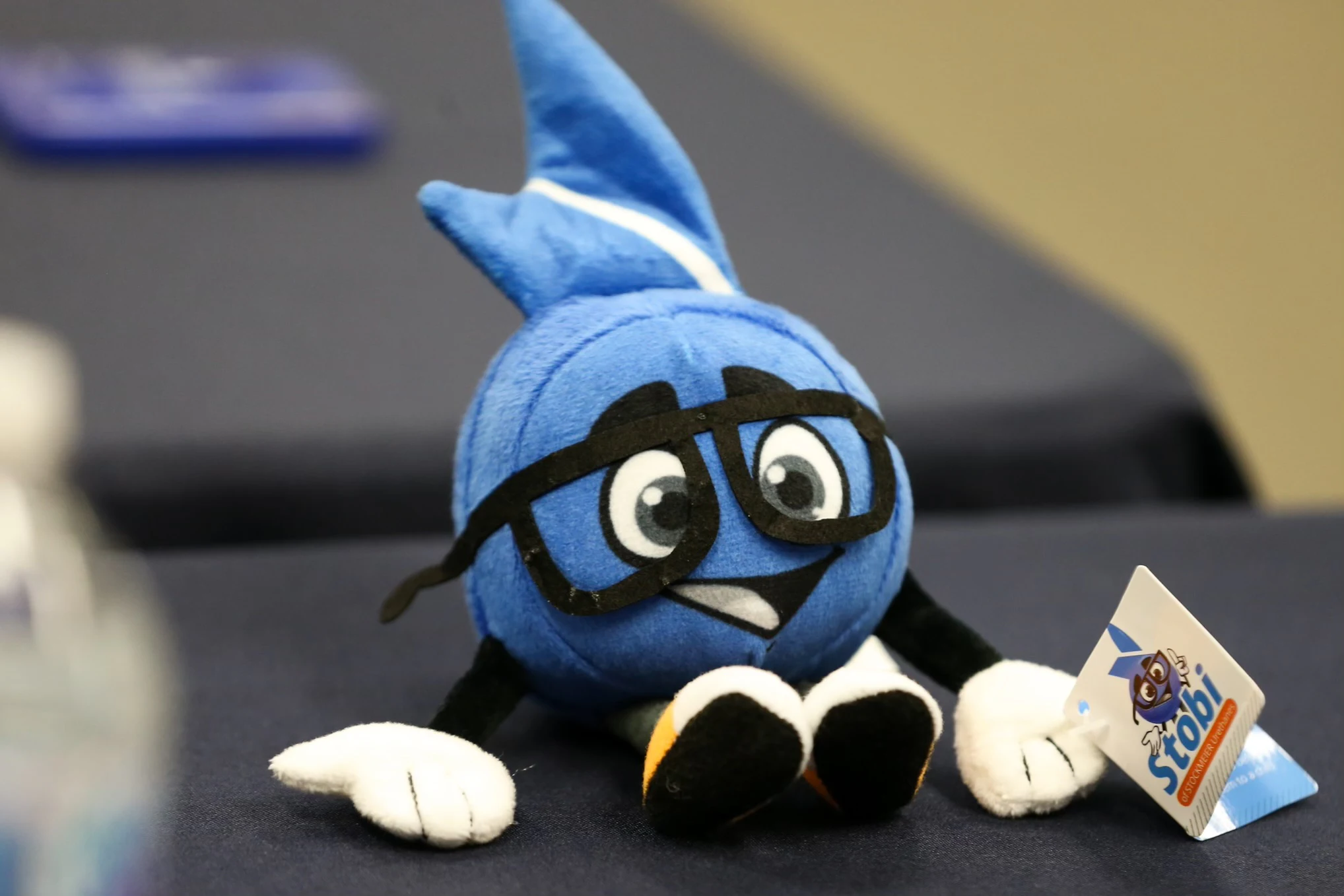 Ein Bild von Stobi Stobi sitzt auf einem Tisch