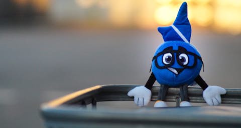 Stobi Stobi sitzt auf einem IBC